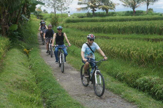 Electric Bike and Swing Package - Coffee in a palm garden gives you a needed pause