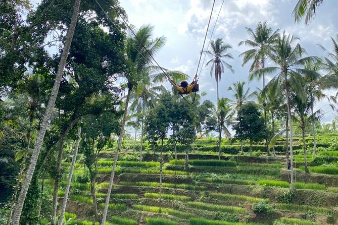 Electric Bike and Swing Package - Abuan in Kintamani is the launch point