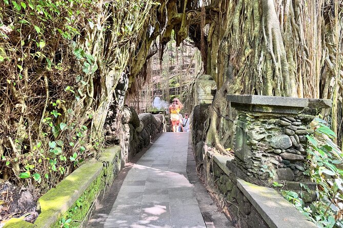 Exclusive Ubud Experience: Nature, Culture & Adventure in One Day - Tegallalang Rice Terraces and the jungle swing