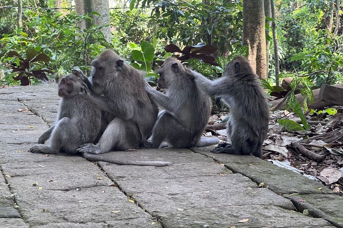 Exclusive Ubud Experience: Nature, Culture & Adventure in One Day - Celuk Village and handmade silver work
