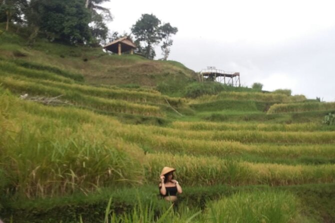Experience Full Day to Bali Swing Temple and Monkey Forest - Batuan Temple and its 10th-century design