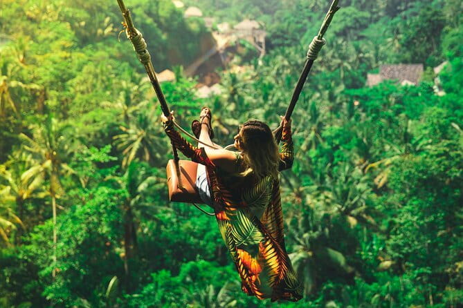 Experience Private Bali Northern Trip at North Waterfall - What the private vehicle adds to the day