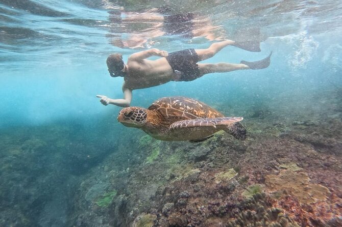 Explore 4 iconic snorkeling spots of Manta Bay in Nusa Penida - Stop two: flying fish and underwater photos