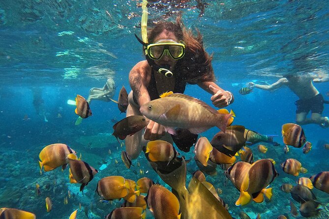 Explore 4 iconic snorkeling spots of Manta Bay in Nusa Penida - Stop four: Wall Bay and red coral