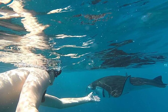 Explore 4 iconic snorkeling spots of Manta Bay in Nusa Penida - The boat, pace, and boarding question
