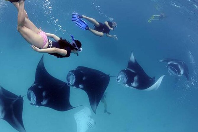 Explore 4 iconic snorkeling spots of Manta Bay in Nusa Penida - Stop one: colorful fish in clear water