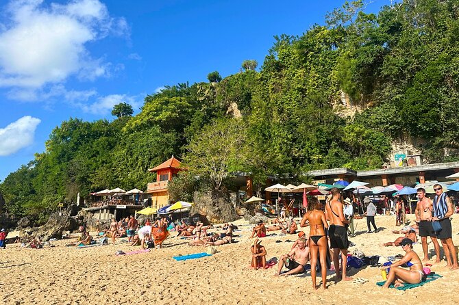Explore Bali Beaches with Private Minivan Tour - Guides Can Shape the Day