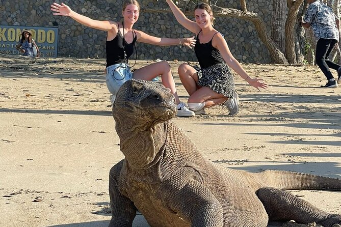 Explore Komodo and Swim with Whale Sharks - Quick points to know