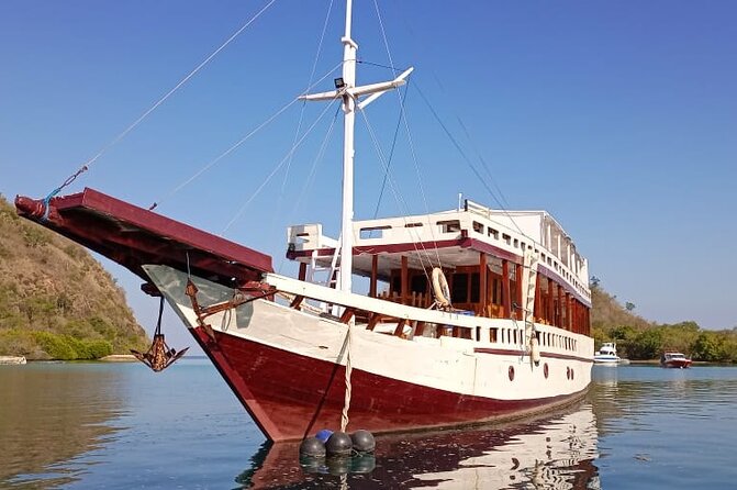 Explore Komodo and Swim with Whale Sharks - Meals, water, and the real value of $300