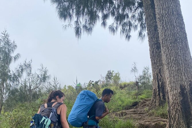 Explore Mount Rinjani To Summit, Lake & Hot Spring (3D 2N) - Day two: descending to Segara Anak crater lake