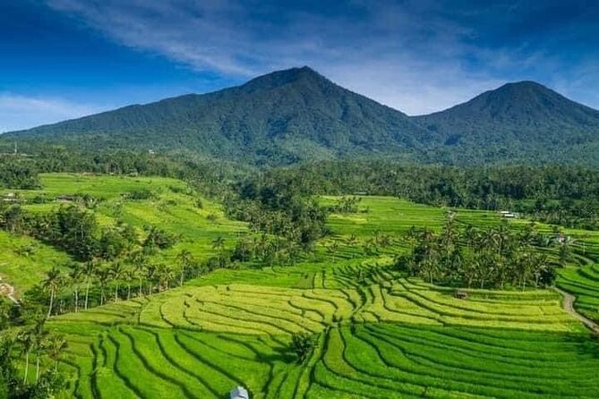 Explore Munduk Customized 8 Hour Day Tour in North Bali - Coffee tasting with a local touch