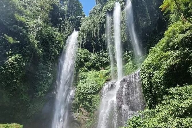 Explore Munduk Customized 8 Hour Day Tour in North Bali - The value of private transport and a careful driver