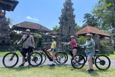 Explore Rice Fields and Hidden Villages with Ubud E-Bike Tour