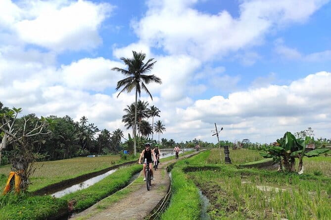 Explore Rice Fields and Hidden Villages with Ubud E-Bike Tour - Who will get the most from this Ubud ride