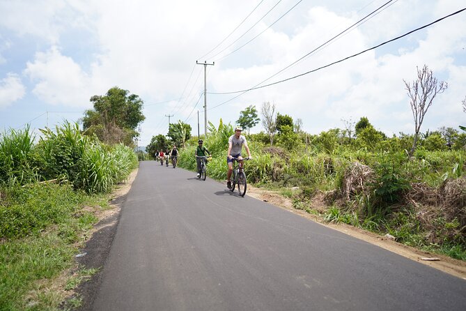 Explore Ubud with Electric Bike - Finishing with Balinese food and countryside views