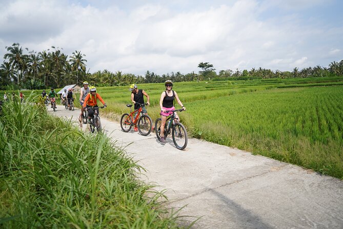 Explore Ubud with Electric Bike - Safety, fitness, and who should book