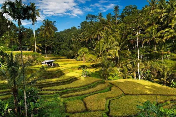 Exploring Bali in 3 Days: Discover Top Places in Bali - Quick points about this Bali tour