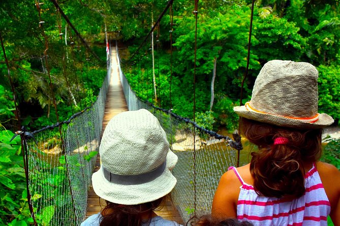 FAMILY JUNGLE TOUR: Orangutan Trek (4-hours hike) by EcoTravel Bukit Lawang - What this four-hour jungle trek is really like