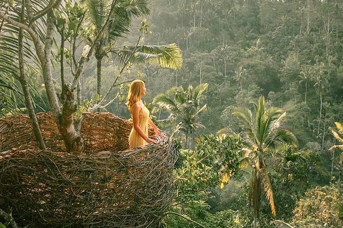 Fantastic Ubud Tour with Jungle Swing - Tegalalang Rice Terrace and Ubud’s famous views