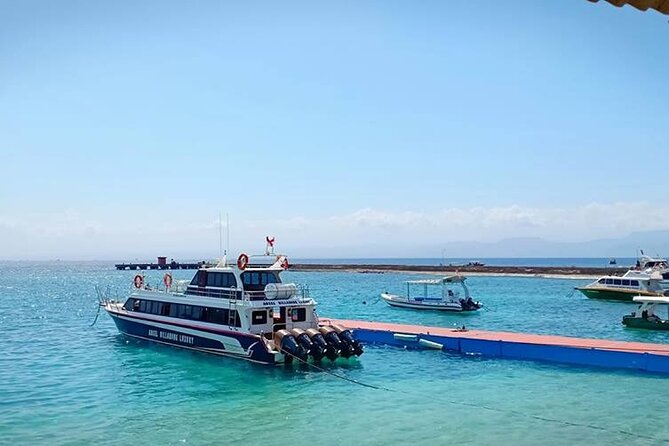 Fast Boat Transfer: Sanur to Nusa Penida by Penidago - Who will appreciate this boat transfer