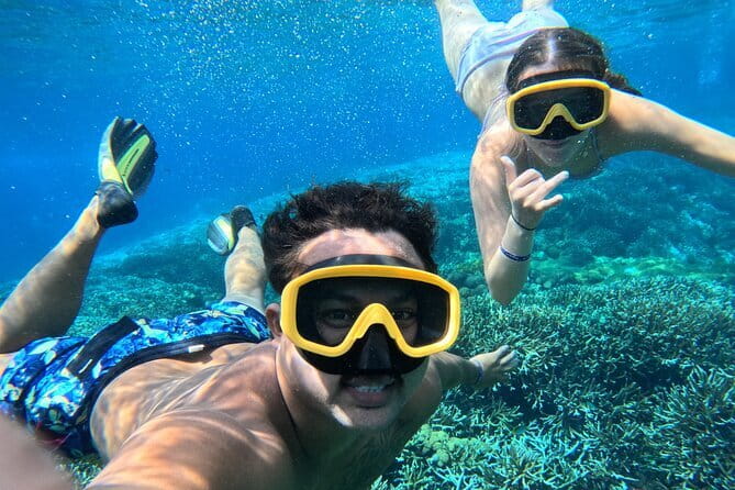 From Bali: Nusa Penida Full Day Tour and Snorkeling - Is $91 a fair price for a Nusa Penida day trip?