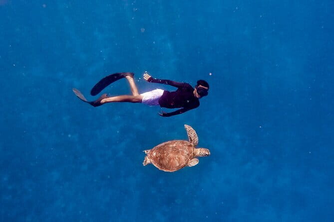 From Gili Trawangan & Gili Air Snorkeling Trip Sharing & Private - Shared boat or private trip?