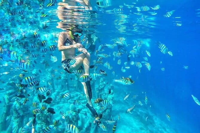 From Gili Trawangan & Gili Air Snorkeling Trip Sharing & Private - Equipment, guide support, and comfort