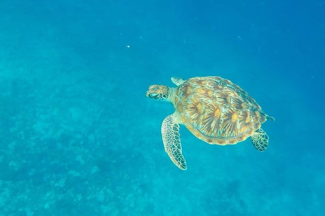From Gili Trawangan & Gili Air Snorkeling Trip Sharing & Private - Gili Air: an easy first water stop