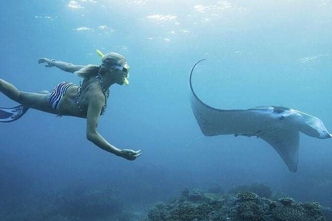From Lembongan: Snorkeling Day Trip to Nusa Lembongan & nusa Penida island - Key Points Before You Book