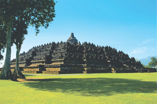 From Semarang Port: Borobudur Temple Private Shore Excursion - Exploring Borobudur’s 504 stone Buddhas