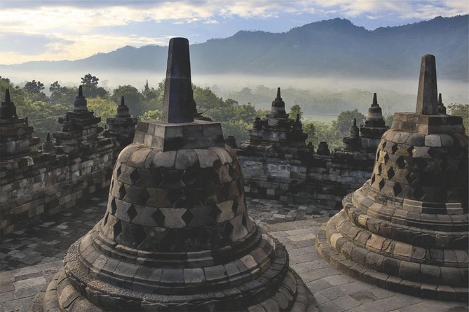 From Semarang Port: Borobudur Temple Private Shore Excursion - Is $147 per person good value?