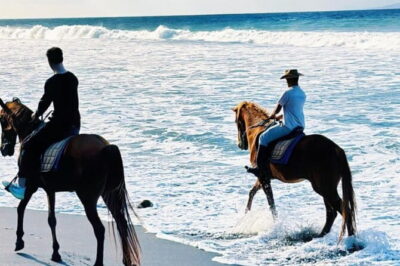 From Ubud 1 Hour Horse Riding at The Beach Experiences