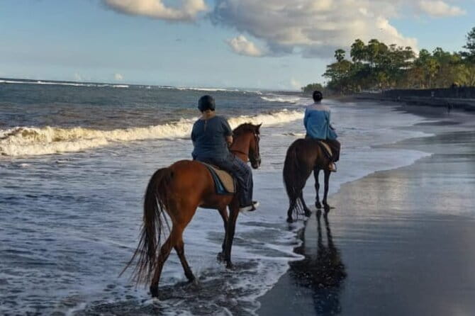From Ubud 1 Hour Horse Riding at The Beach Experiences - Drinks, photos, and the small comforts