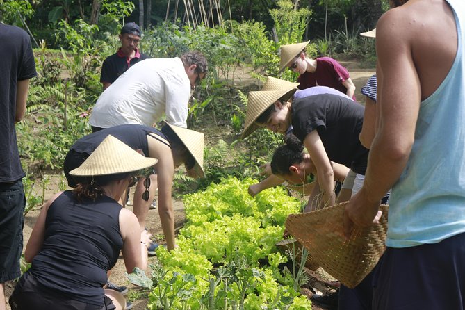 From Ubud: Authentic Bali Farm Cooking School & Organic Farm - Who will enjoy this cooking school most