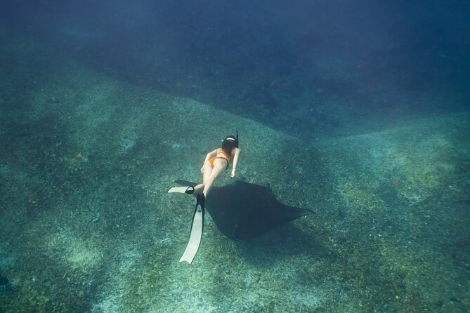 Full-Day Adventure Tour to komodo Island with join Speed Boat tur - The 5:30 a.m. pickup and 6:00 a.m. departure