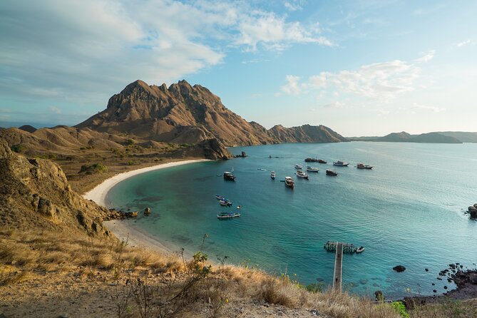 Full-Day Adventure Tour to komodo Island with join Speed Boat tur - Komodo Island: a guided search for dragons