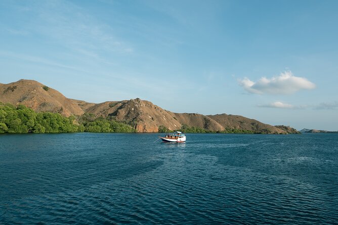 Full-Day Adventure Tour to komodo Island with join Speed Boat tur - What the $130 price really includes