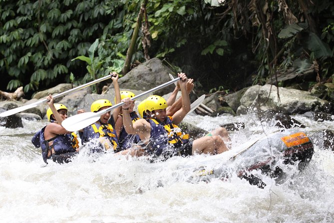 Full-Day Ayung River White Water Rafting and Ubud Tour - Why this rafting and Ubud combination works