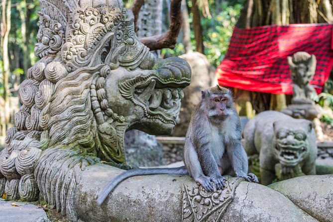 Full-Day Ayung River White Water Rafting and Ubud Tour - The drivers and guides make a big difference