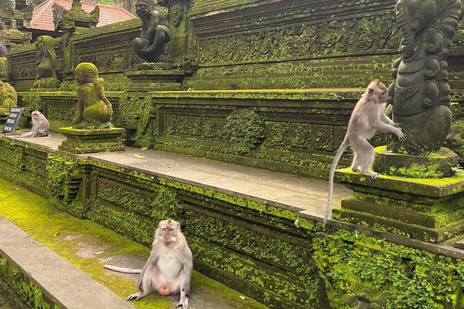 Full Day Best of Ubud Private Tour - Tegalalang Rice Terrace is the scenic centerpiece