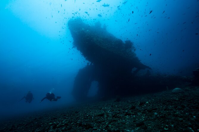 Full-Day Discover Scuba Diving Tour for Beginners in Tulamben - Coral Garden: the gentle underwater introduction
