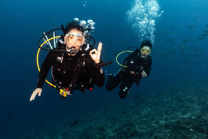 Full-Day Discover Scuba Diving Tour for Beginners in Tulamben - The morning ride from Kuta, Ubud, or south Bali