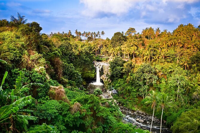 Full-Day Highlights and Best of Ubud Village - What this Ubud day trip is really designed to do