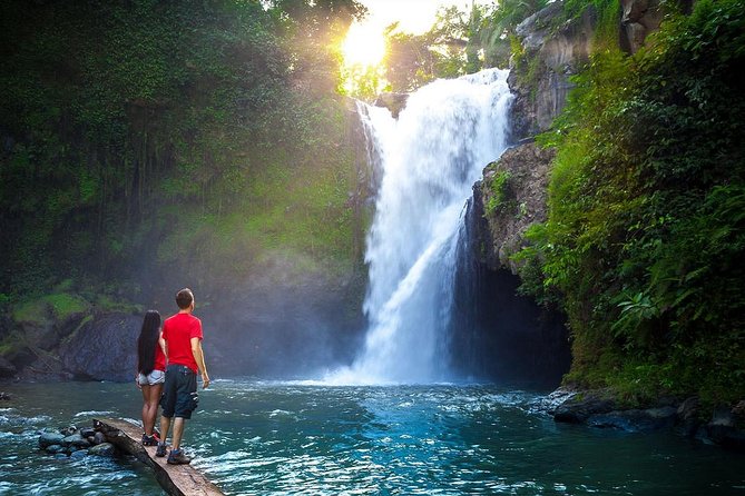 Full-Day in Bali: Amazing Ubud Tour - Private transport is the biggest practical benefit
