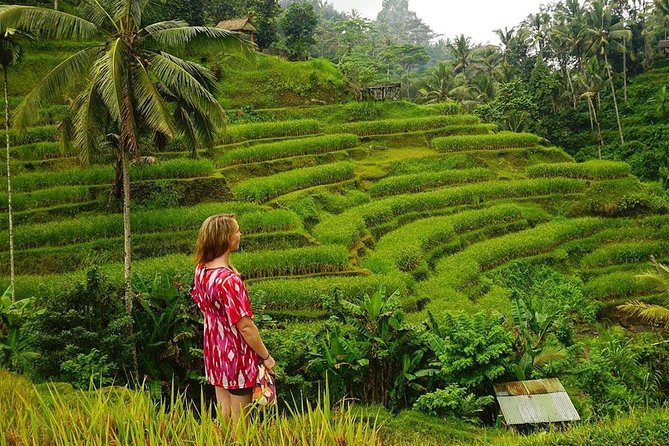 Full-Day in Bali: Private Design-Your-Own Tour - What $35 buys you in practical terms