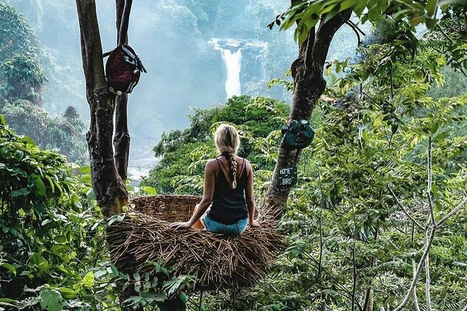 Full-Day in Bali: Private Design-Your-Own Tour - Extending the day to north and west Bali
