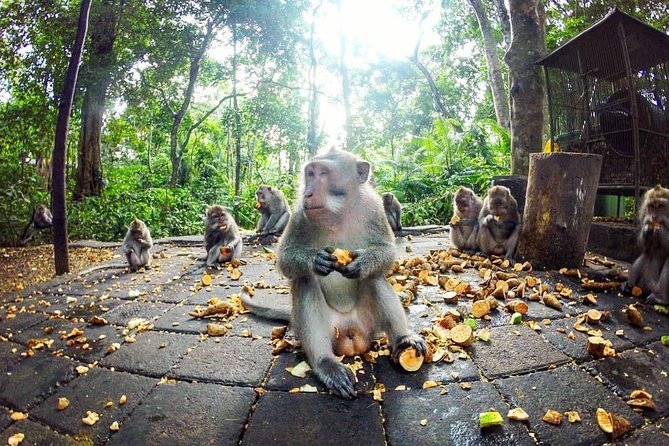 Full-Day in Bali: Private Design-Your-Own Tour - The driver can make or break the day
