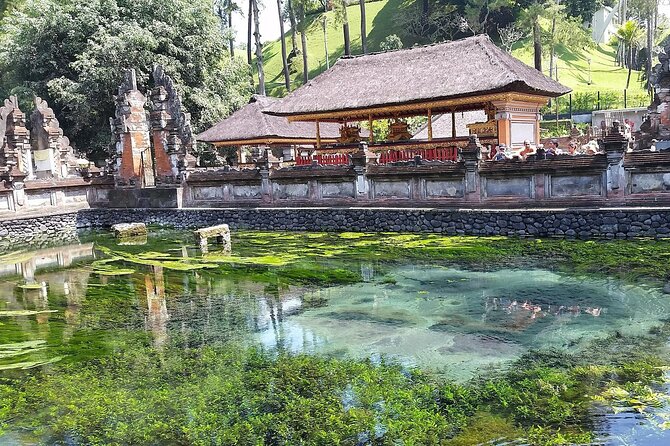 Full Day Kintamani Volcano View and Ubud Village Tour - Lunch at The Amora Bali with Indonesian dishes