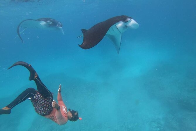 Full Day Nusa Penida Manta Point Snorkeling and West Island Tour - Gamat Bay brings a second hour in the water