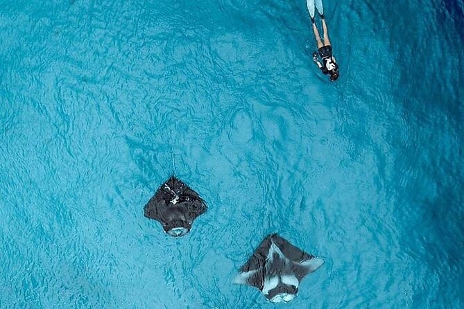 Full Day Nusa Penida Manta Point Snorkeling and West Island Tour - Kelingking Beach and the T-Rex viewpoint